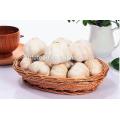 hot sale 4.5cm 5.0cm 5.5cm 6.0cm chinese fresh pure white garlic normal white garlic